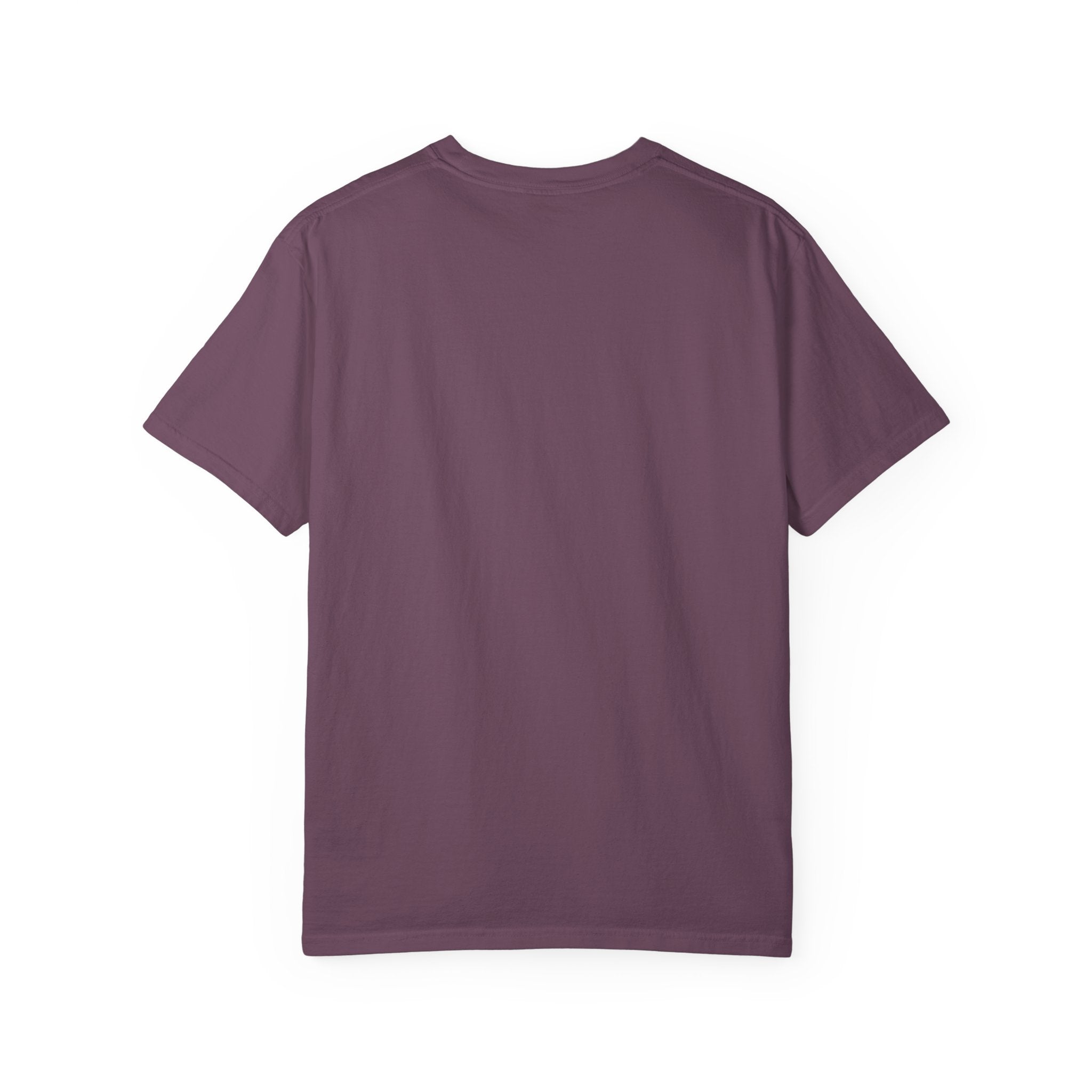 Vive La France T-Shirt — Vintage French Travel Graphic Tee