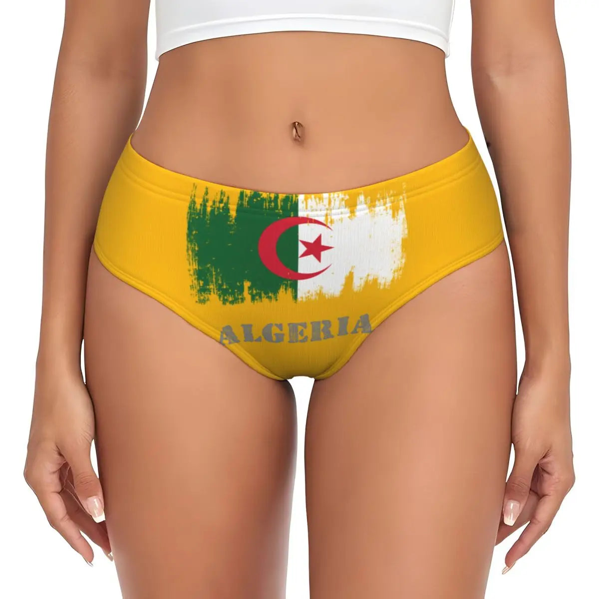 Custom Algeria Map Algerian Flag Brief Panties Womens Breathable Stretch Underwear Valentine's Day Gifts Underpants
